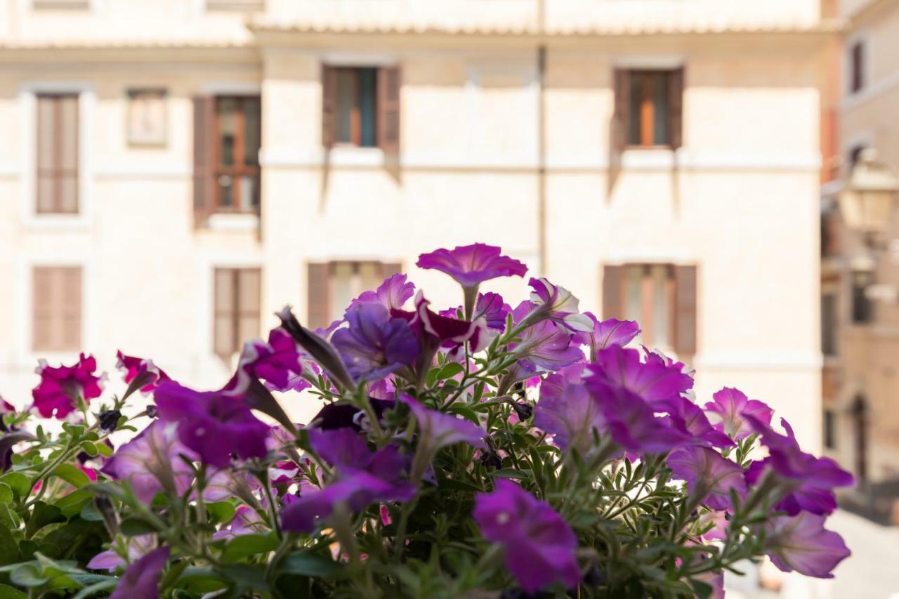 Buongiorno Colosseo Róma Kültér fotó